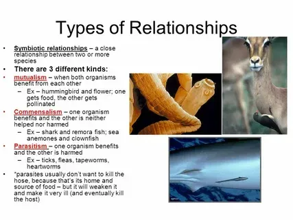 Why People Use Relationship Acronyms