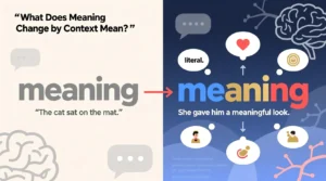 What Does Meaning Changes by Context Mean