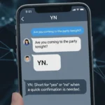 YN Meaning in Text and Online