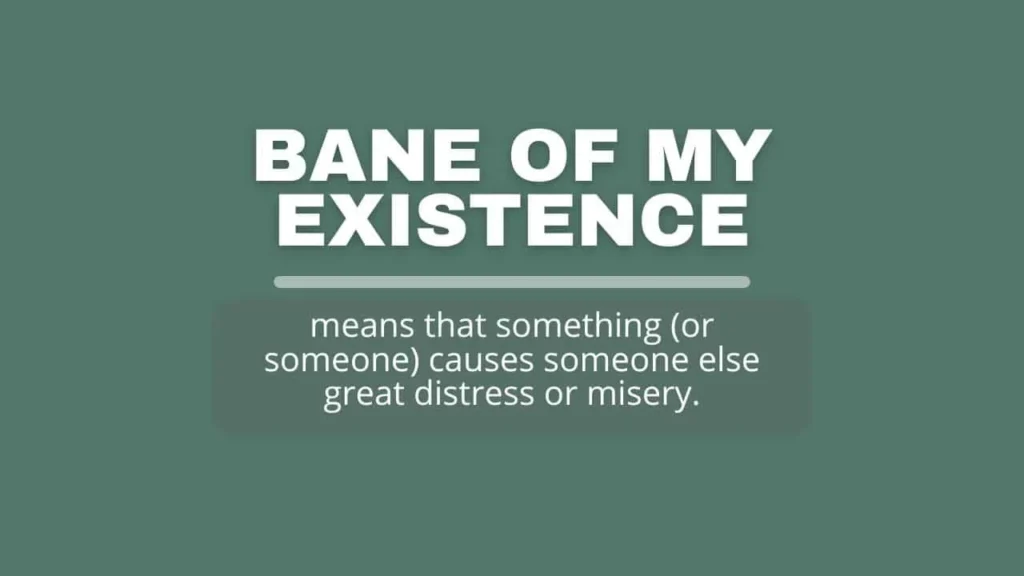 Where Is Bane of My Existence Commonly Used?