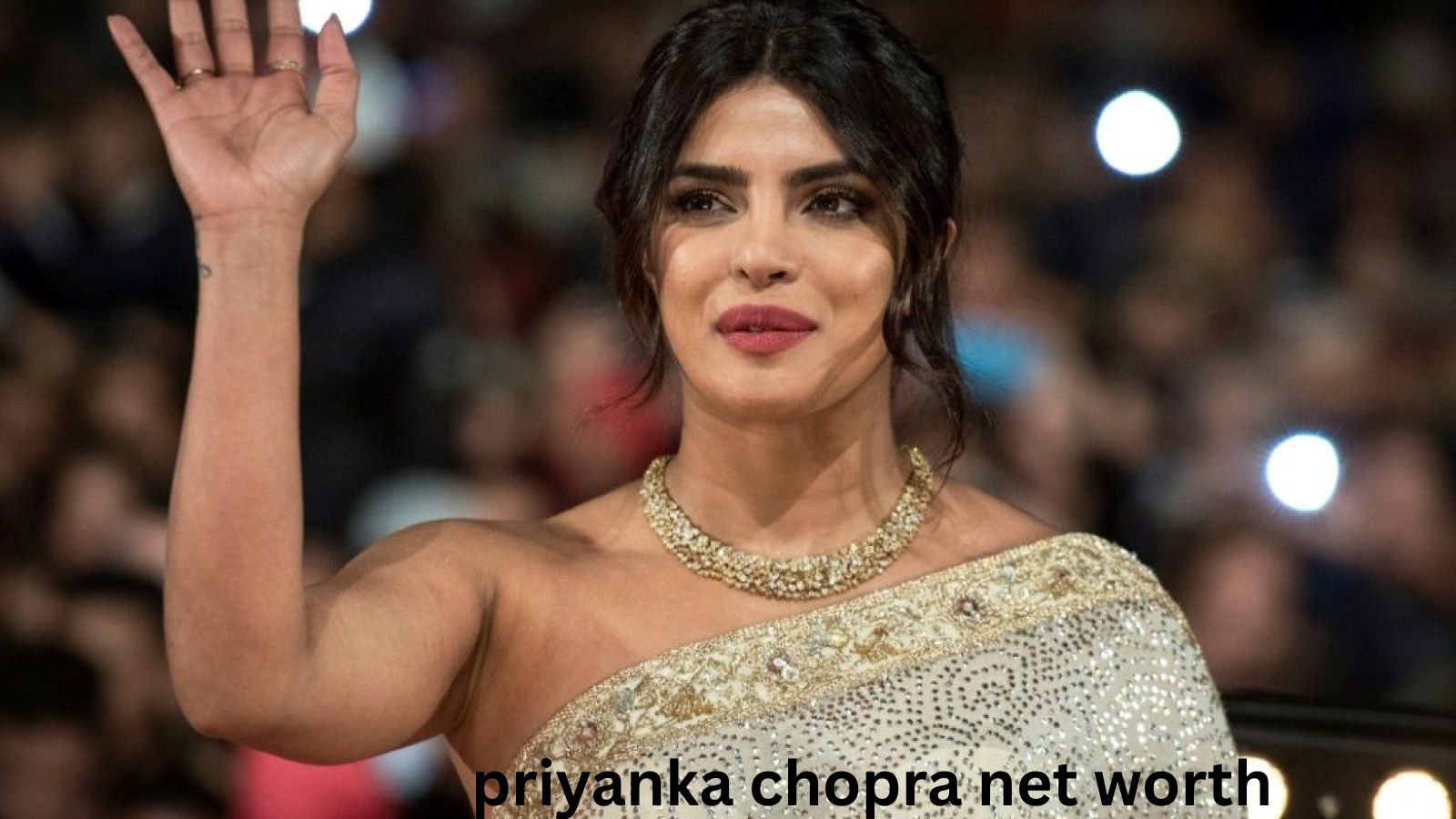 priyanka chopra net worth