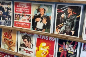 Elvis Presley Net Worth 2026: Wealth, Estate & Earnings