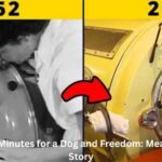 Three Minutes for a Dog and Freedom: Meaning & Story