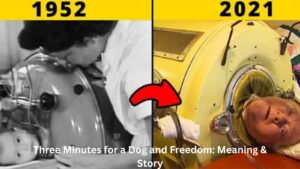 Three Minutes for a Dog and Freedom: Meaning & Story