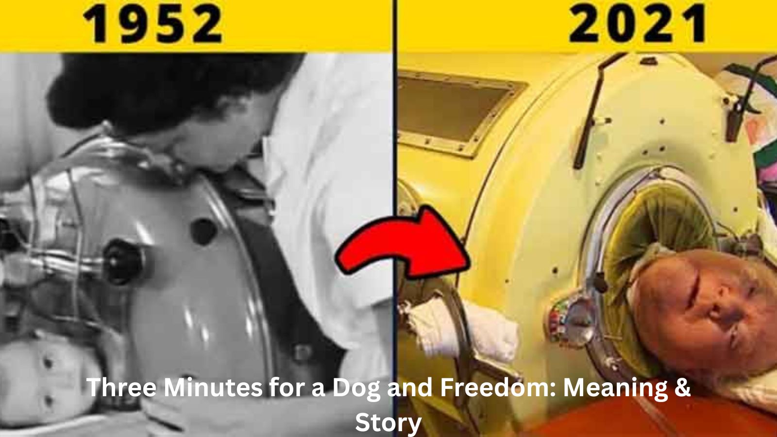 Three Minutes for a Dog and Freedom: Meaning & Story